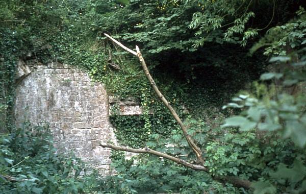 Nynehead Lift