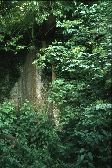 Nynehead Lift