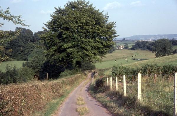 Wellisford Incline