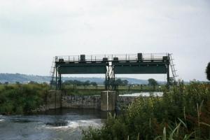 River Parrett