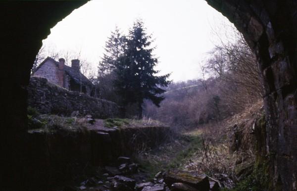 Sapperton Tunnel