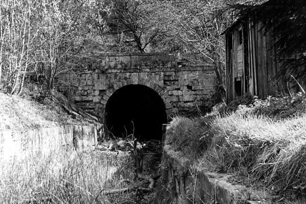 Sapperton Tunnel