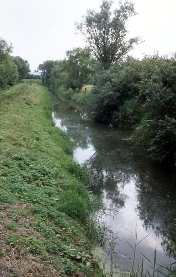 Westport Canal