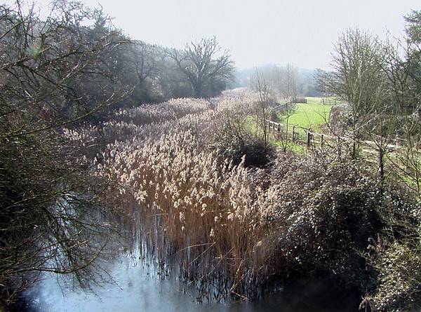 Porters Mill Lock