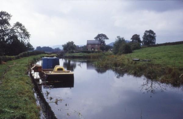 Burgedin Top Lock